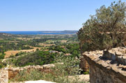Grimaud
