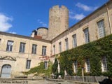 Château de Ravel - Ravel