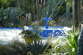 Jardin Majorelle