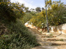 Sidi Bou Said