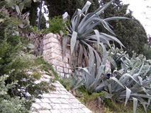 Sidi Bou Said