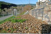 Le potager en novembre