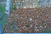 Le potager en novembre