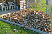 Le potager en novembre