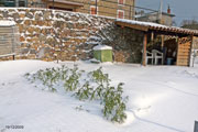 Le potager en décembre