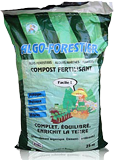 Algo forestier