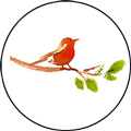 Logo Oiseau