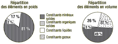 Composition du sol