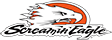 Logo Screamin'Eagle